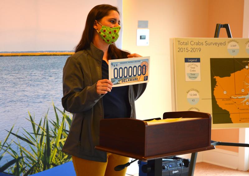 Over 13,000 horseshoe crabs tagged by Center for Inland Bays Cape Gazette